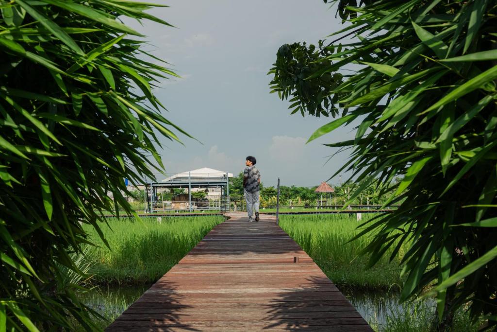 Surrounding environment