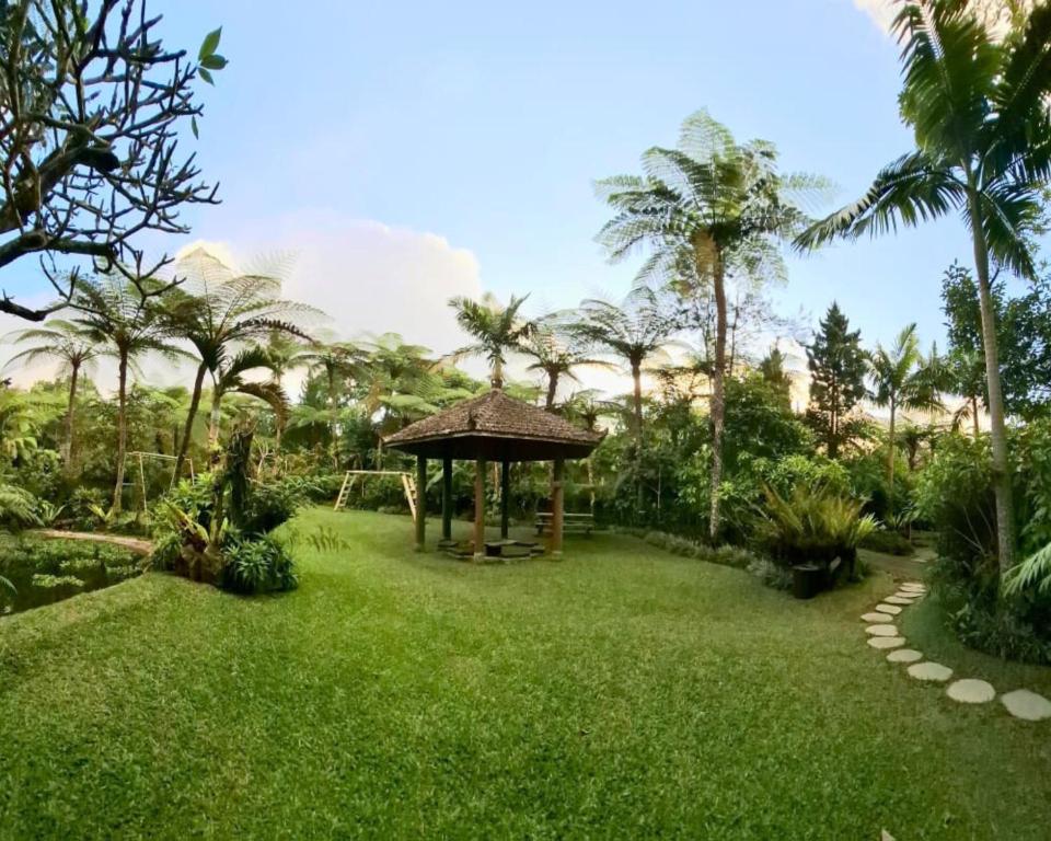 Surrounding environment