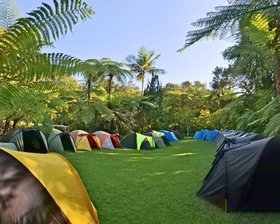 Surrounding environment