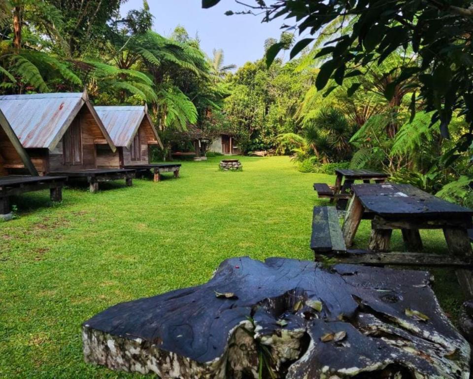 Surrounding environment