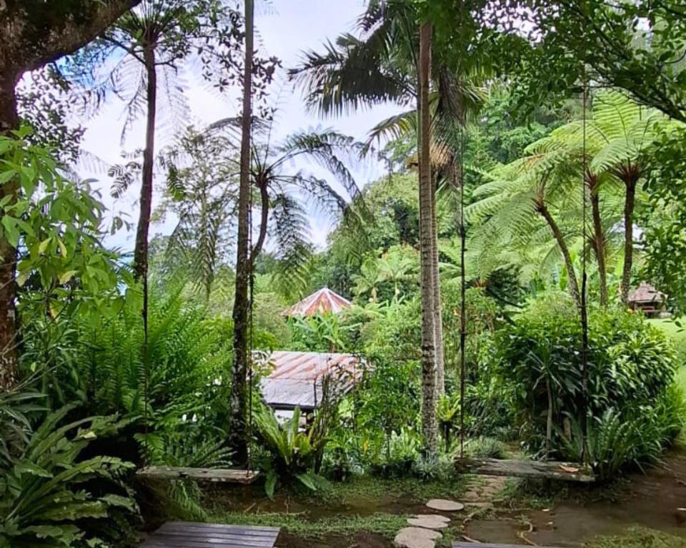 Surrounding environment