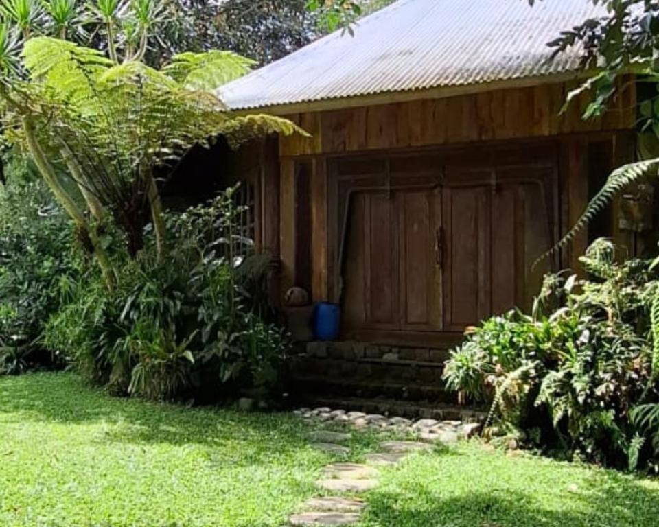 Exterior view