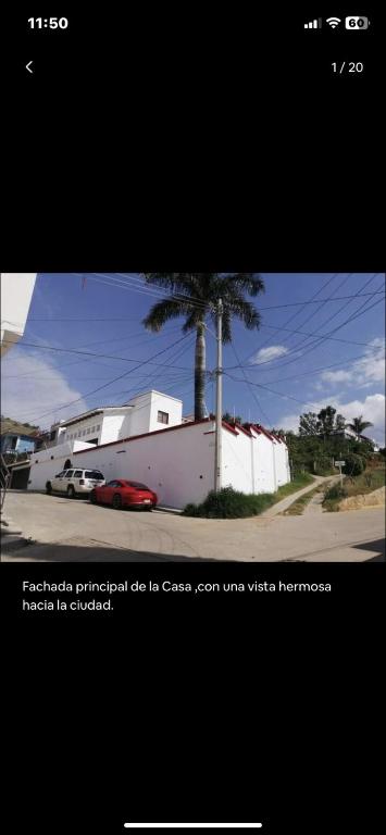 Geranios - 4