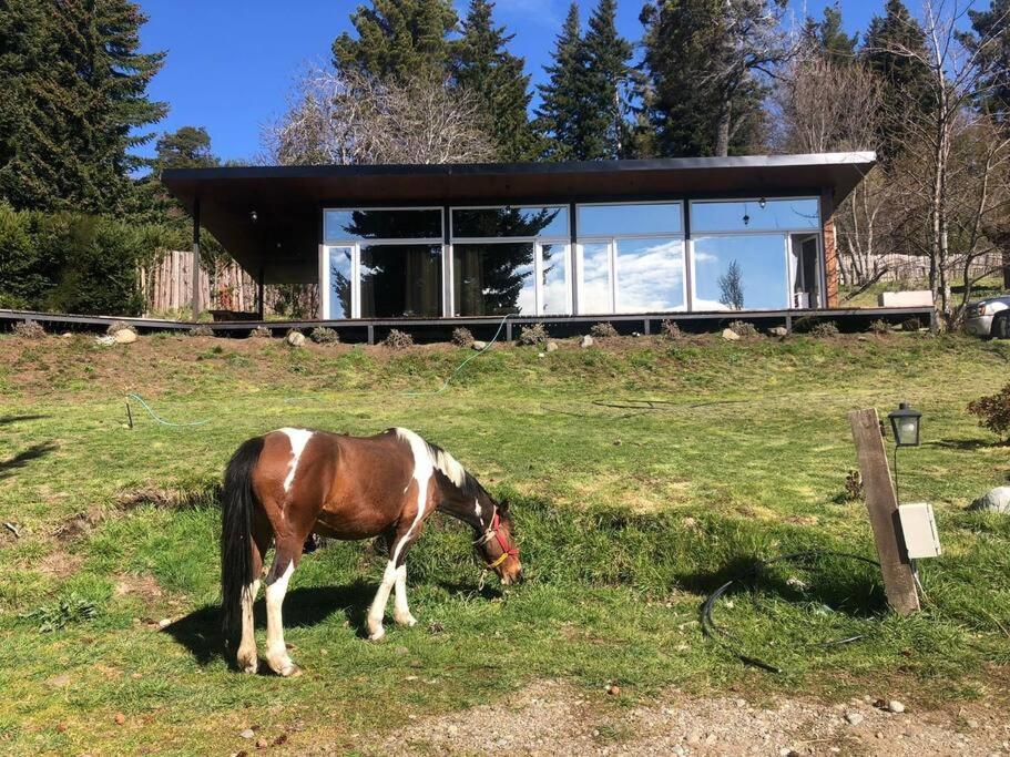 Cabaña Vintage a metros del lago - 4