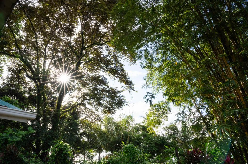 Surrounding environment