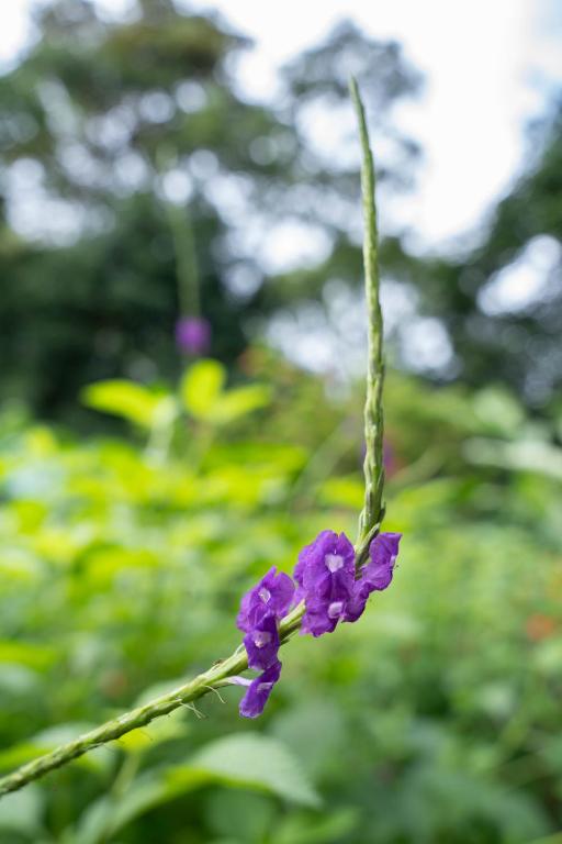 Surrounding environment