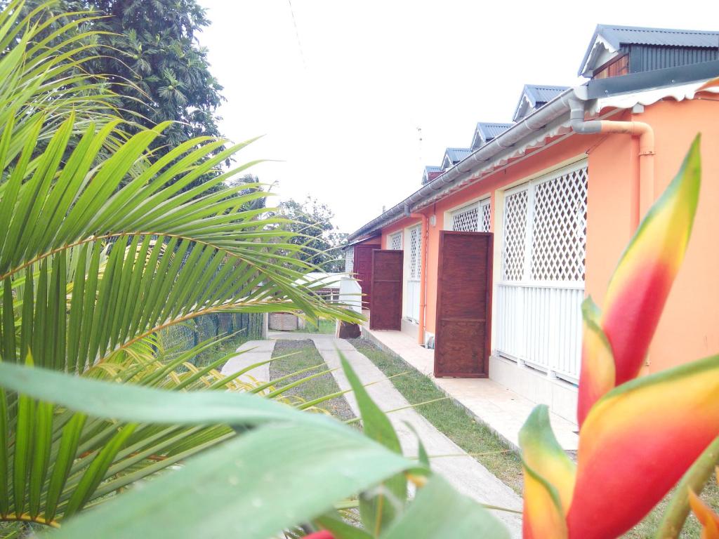 GITES Cocles 7 jours minimum, Morne-à-lʼEau