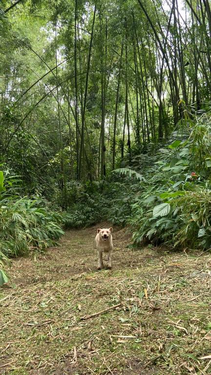 Surrounding environment