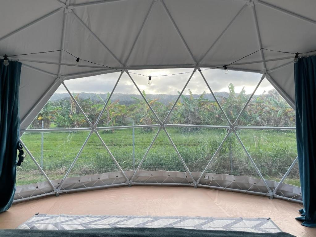 Spacious Dome Tent Glamping 외관