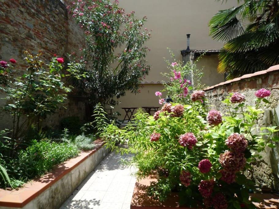Charming Garden in Florence, Florencie