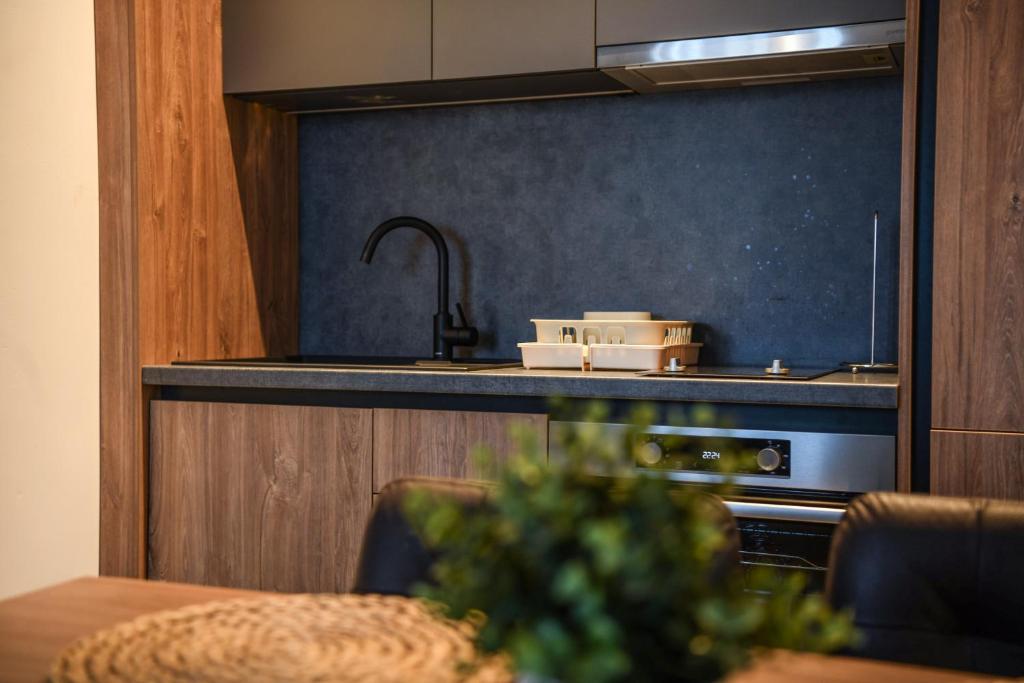 DVOSJED LUXE apartmani Jahorina - 4