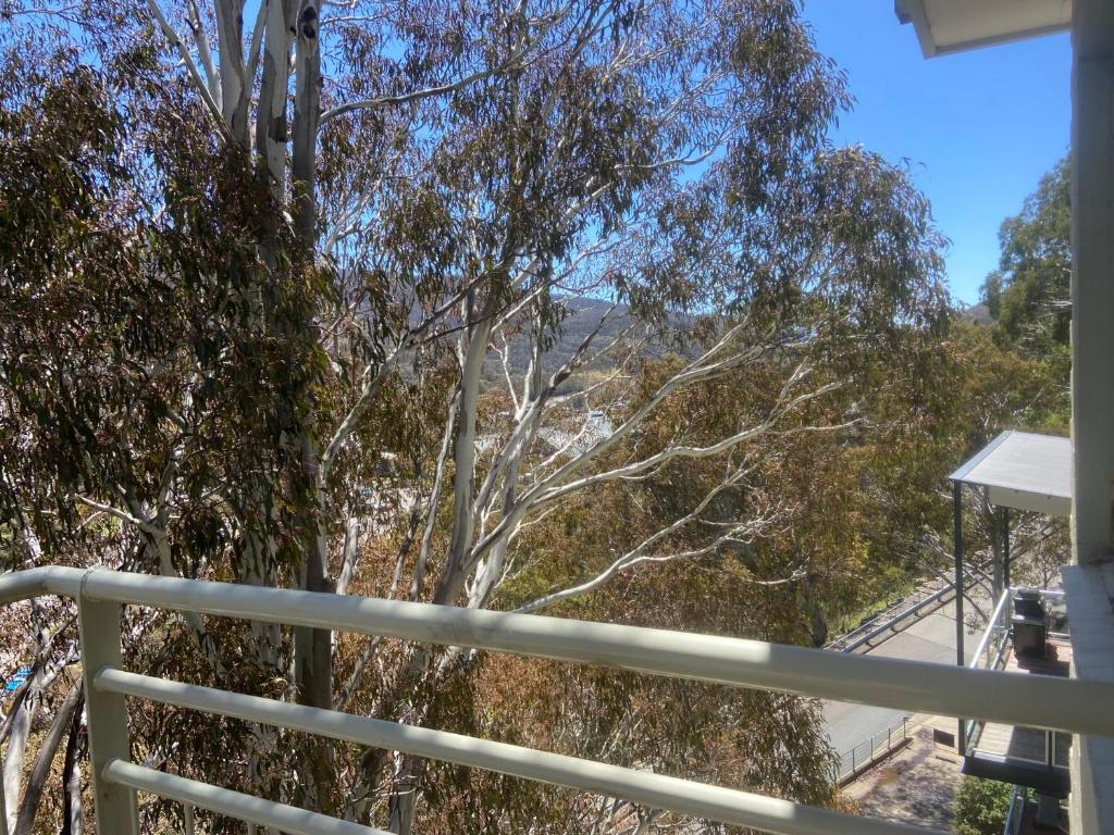 Inala 3 - Thredbo, Thredbo