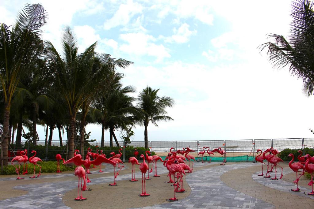 Kacy Homestay, Wonderland Ho Tram mien phi ve MUSEUM
