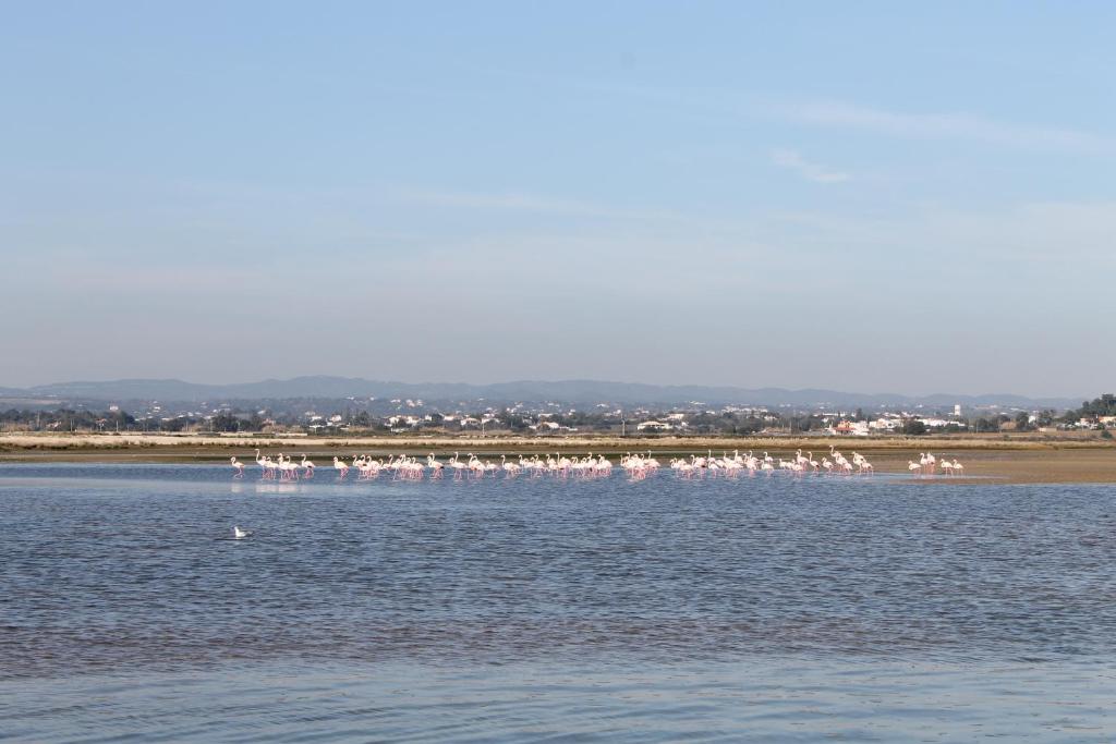 Surrounding environment