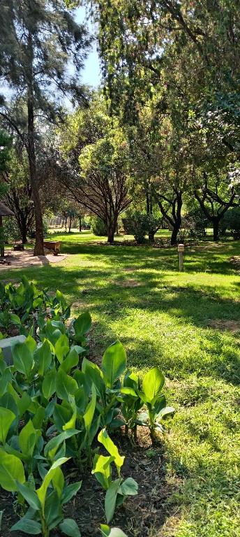 La Mathil, Swartspruit