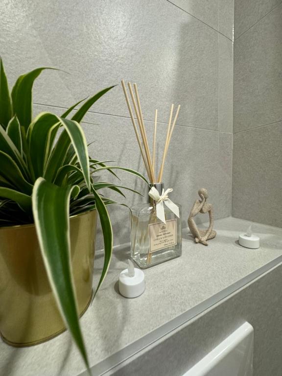 Appartement au centre ville - 4