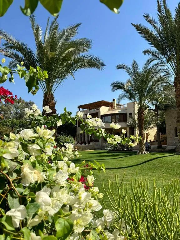 palm shadow resort, hotel in Tunis