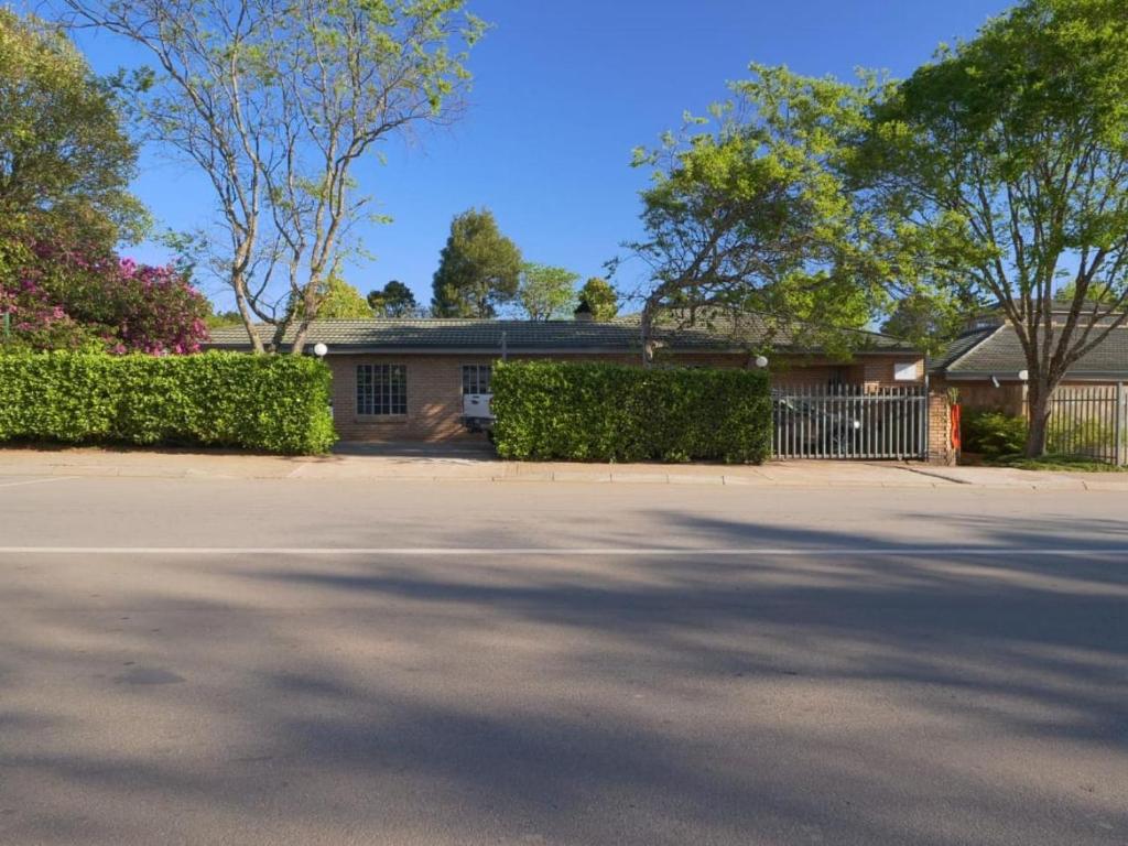 Forest and Ferns, Graskop