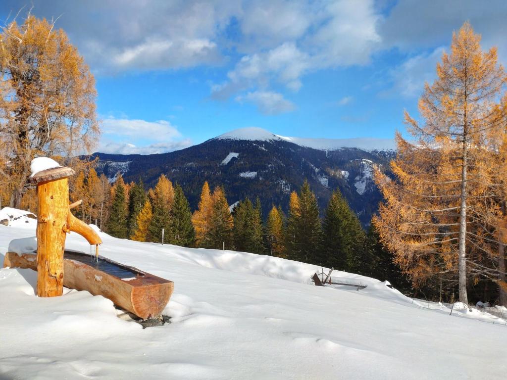 Kerschbaumer Chalet - 2