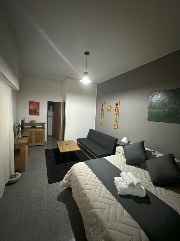 MONOAMBIENTE EN VARESE - 4