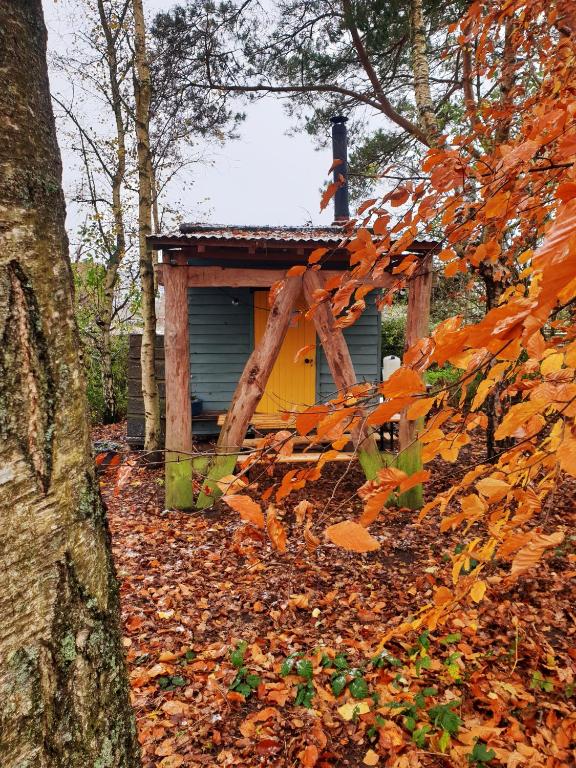 Delightful Shepherd hut, Graffham