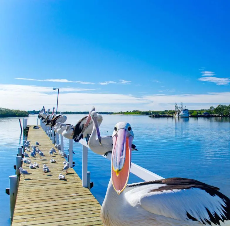 Moby Dick Waterfront Resort Motel, hotel in Yamba