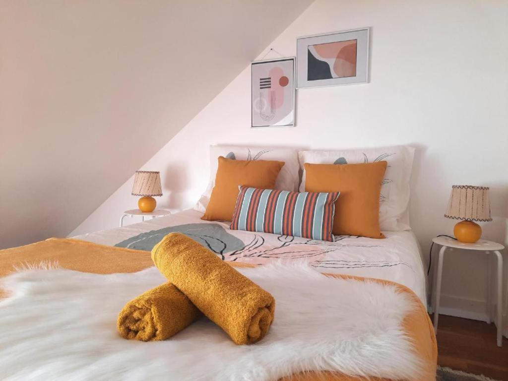 Le cocoon Hyper centre Orleans proche Gare - 2