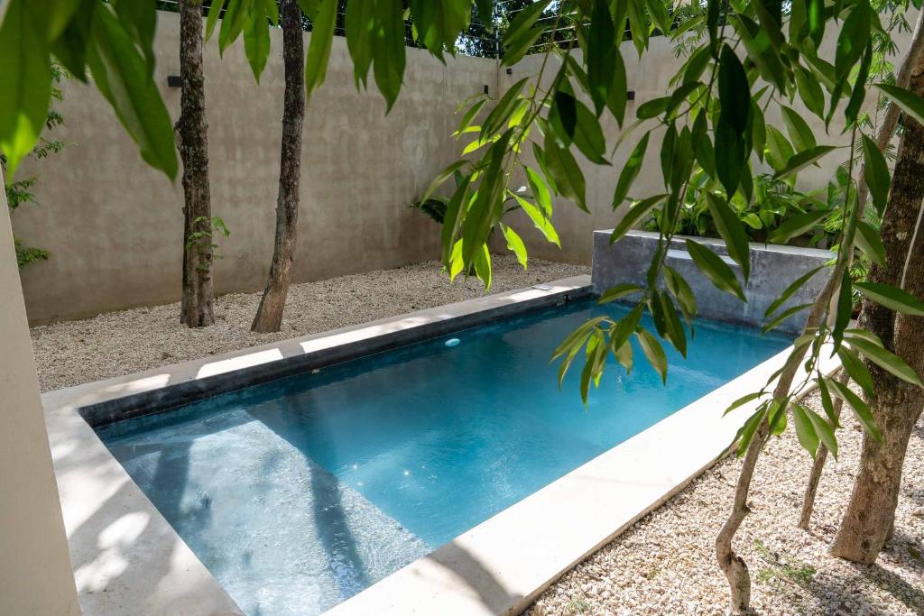 Casa Guapita - 2