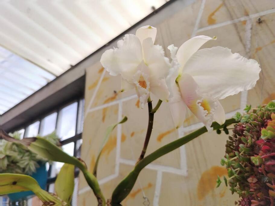 Amplia Casa a 10 min de la Basílica - Chiquinquirá - 5