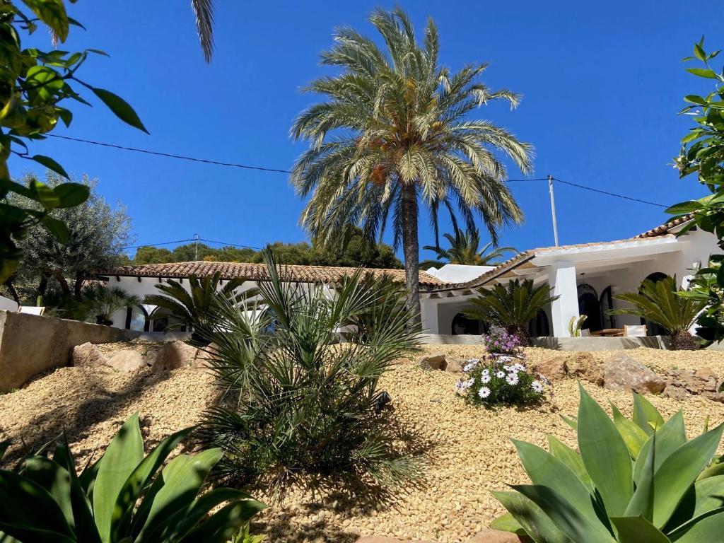 Authentic Haciënda near the Sea - 5