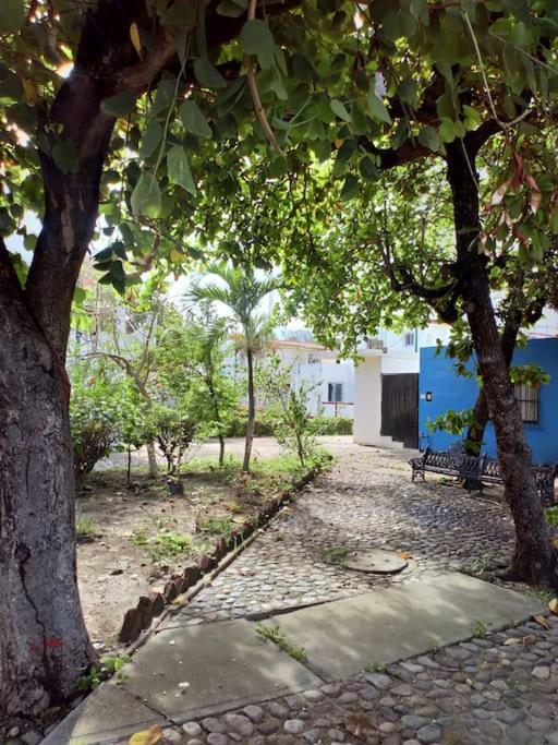 Casa Amaral - 3