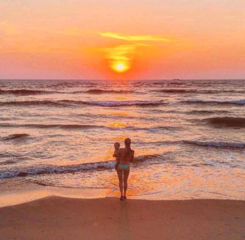 Mbeach Nest, Panadura