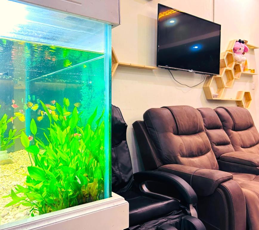 TNH Hotel Vung Tau