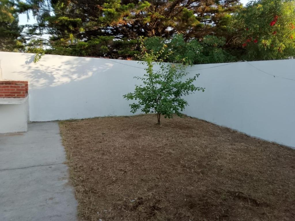 Costa Tuyu - 2