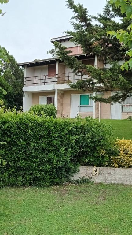 Gesell mar y bosque - 5