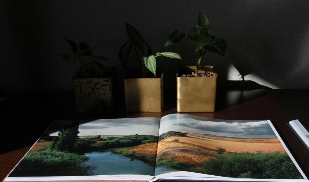 편의 시설/서비스