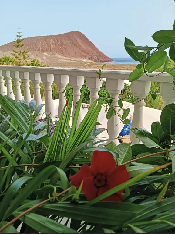 Magic view facing MontanaRoja, La Tejita