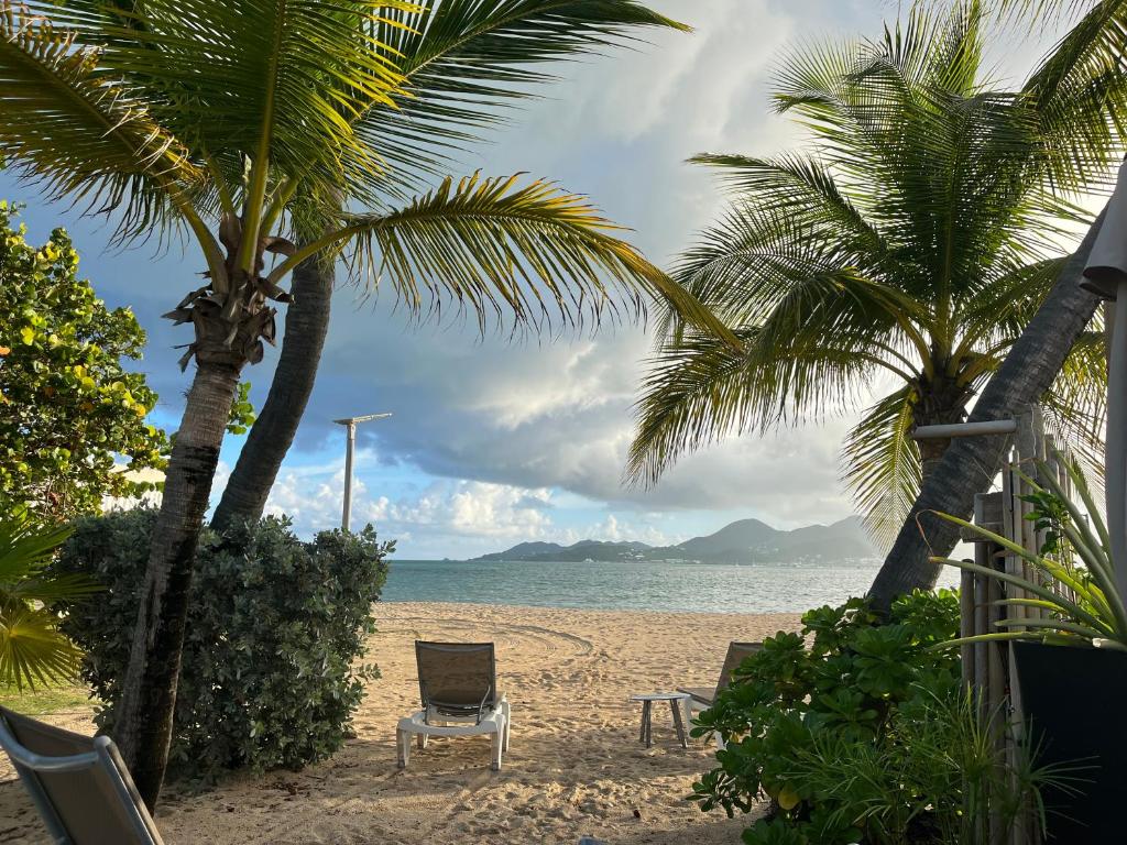 Ma cabane sur la plage, Marigot