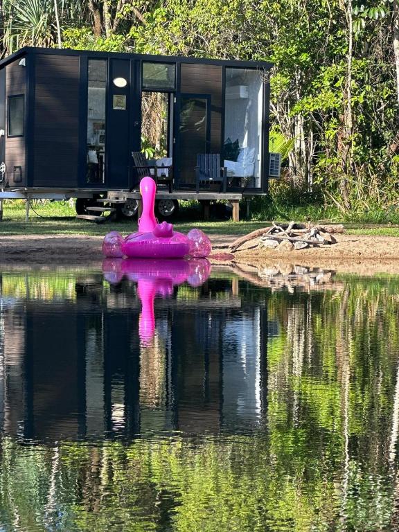 The Dacious by Tiny Away, Midgenoo