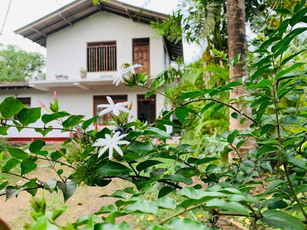 Coastal edge villa, Dodanduwa