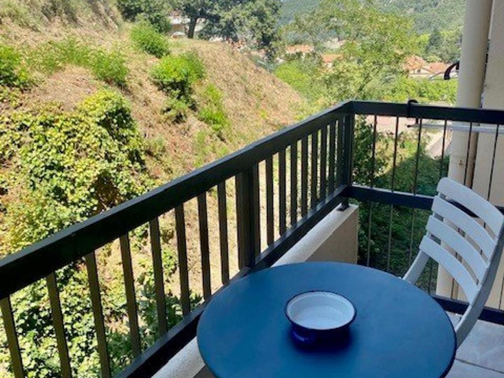 Studio confortable avec balcon, WIFI, proche cures - 5