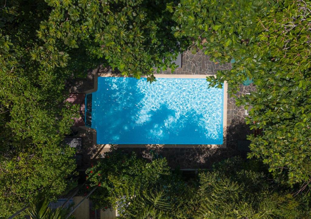 Jungle Addition, Phnompenh