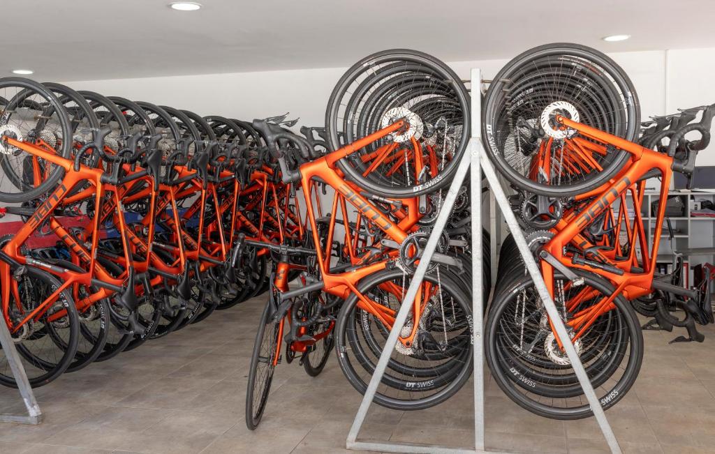 Sports and activities