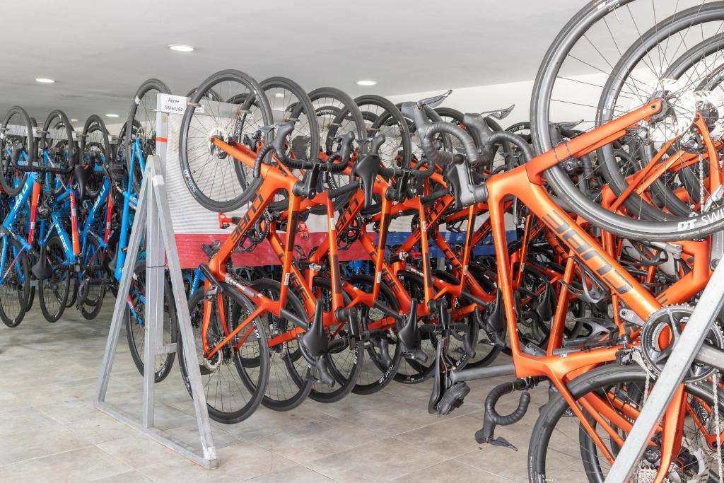 Sports and activities