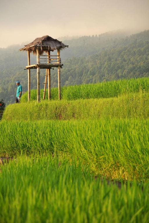 Surrounding environment