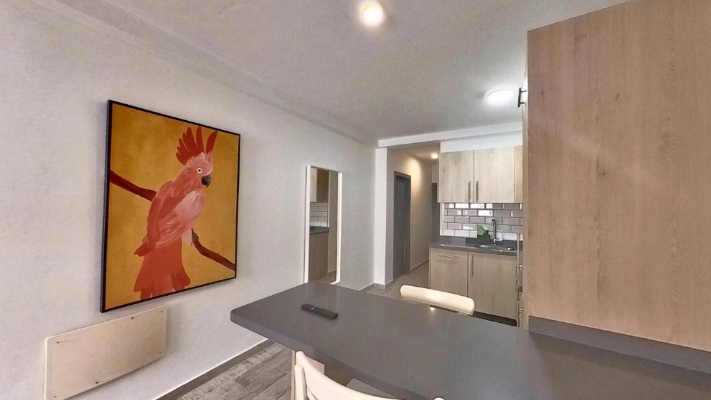 Óscar Urban Suites - 2