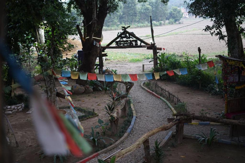 Surrounding environment