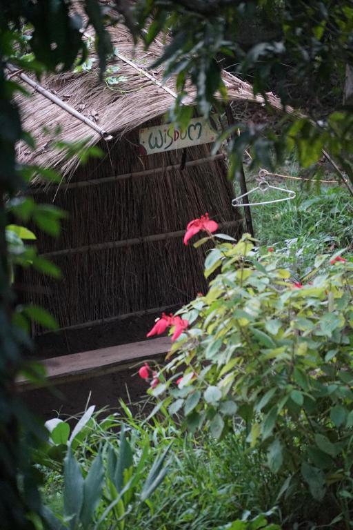 Surrounding environment