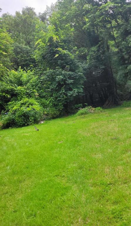 La Calèche, Montévrain