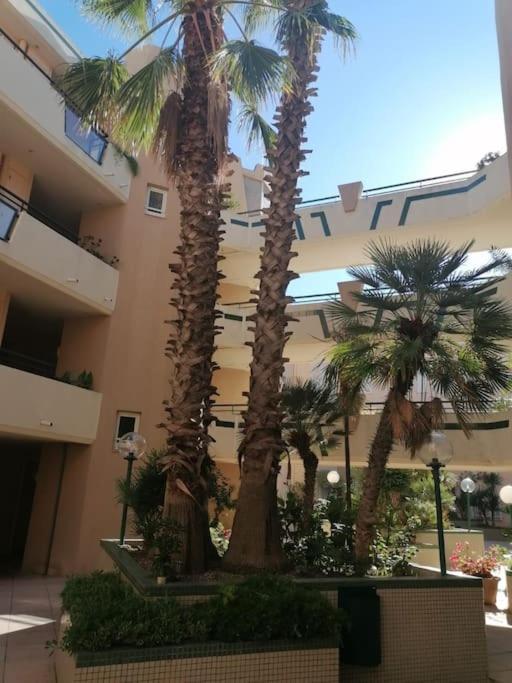 Appartement vue mer - 4